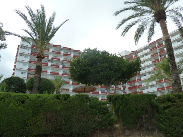 Vivienda en Alcudia, Av Pere Mas I Reus, de 25 Es:1 Pl:03 Pt:09